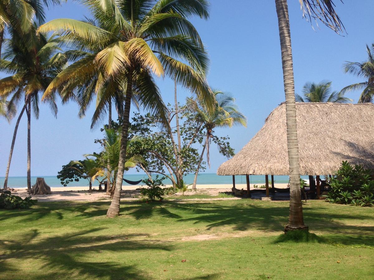 La Sirena Eco Hotel & Retreat Palomino Exterior foto